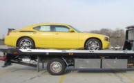 Flatbed Towing Towing Company Images